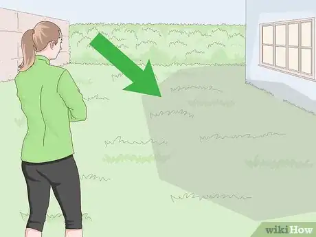 Image titled Grow Monkey Grass from Seed Step 3