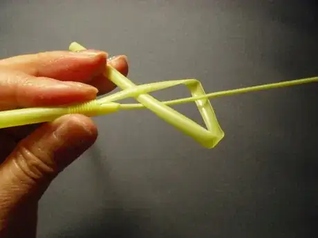 Image titled Shachi11_957.JPG