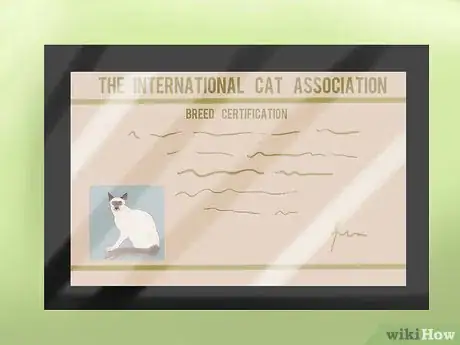 Image titled Identify a Javanese Cat Step 15