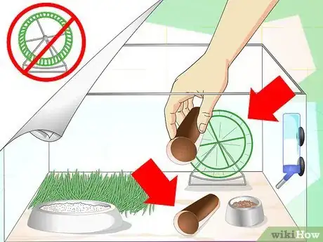 Image titled Set up a Gerbilarium Step 7