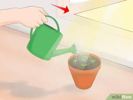 Image titled Plant a Lemon Seed Step 11