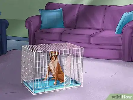 Image titled Housebreak a Dog Using a Crate Step 3