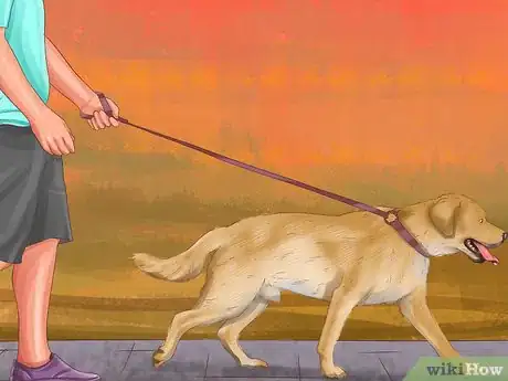 Image titled Help a Dog with Sleep Incontinence Step 9