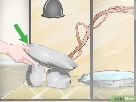 Image titled Care for a Green Iguana Hatchling Step 8