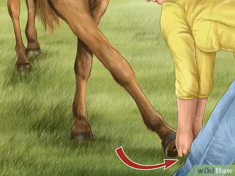 Image titled Maintain Good Hoof Care on Your Horse Step 5