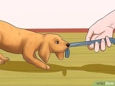 Image titled Get Your Puppy to Stop Biting Step 13