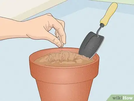 Image titled Get Weed in California Step 12