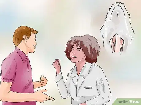 Image titled Diagnose Diabetes in Miniature Schnauzers Step 9