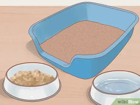 Image titled Introduce a Cat That Used to Belong to Someone Else to Your Home Step 4