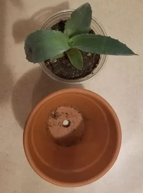 Image titled Newsizedpot