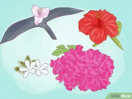 Image titled Have a Sustainable Garden in Saudi Arabia Step 2