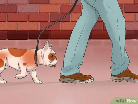 Image titled Prevent Canine Leptospirosis Step 1