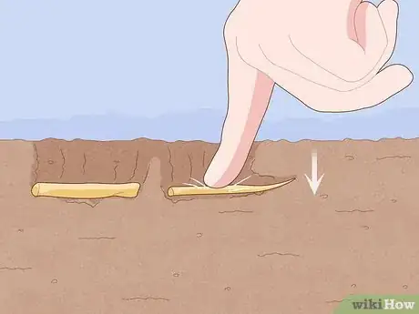 Image titled Take Root Cuttings Step 9