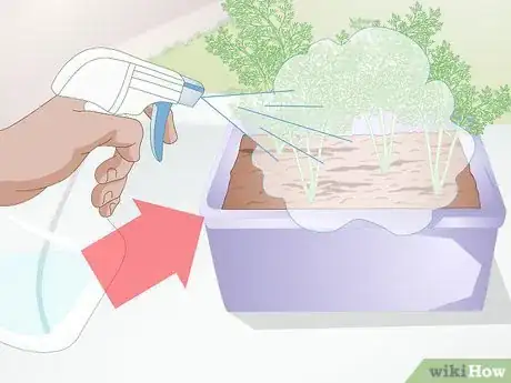 Image titled Stop Cats from Eating Indoor Plants Step 1