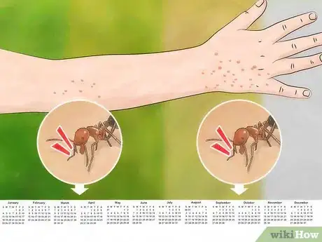 Image titled Identify Fire Ant Stings Step 9