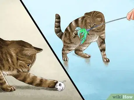 Image titled Find Your Cat's Preferred Play Style Step 3