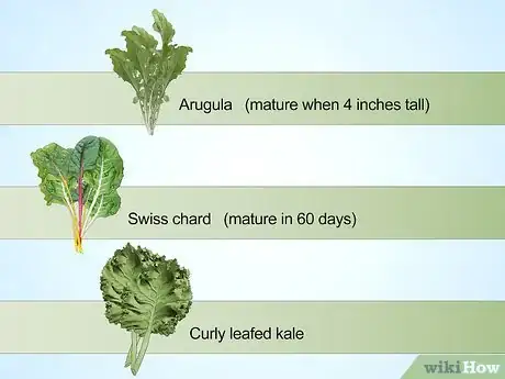 Image titled Plan a Winter Garden Step 6