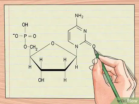 Image titled Understand DNA Structure Step 4
