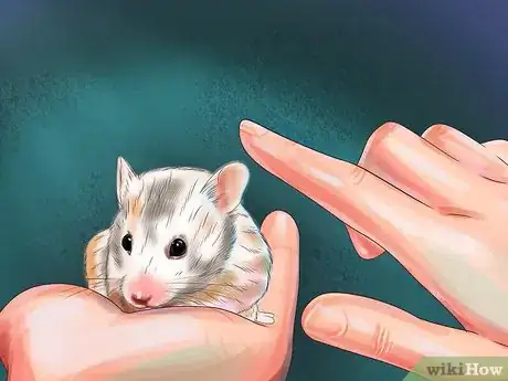 Image titled Choose a Healthy Hamster Step 9