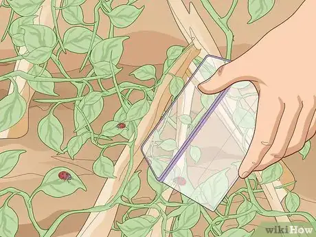 Image titled Use Organic Pesticides for Gardening Step 15