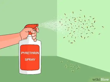 Image titled Get Rid of Fruit Flies Step 14