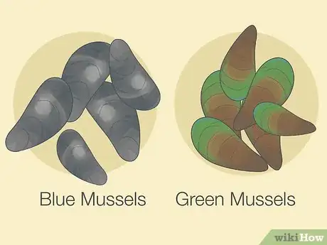 Image titled Eat Raw Mussels Step 2