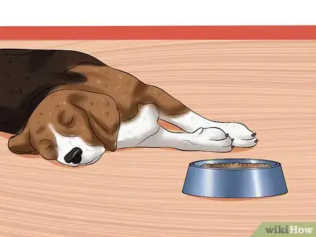 Image titled Treat Canine Coronavirus Step 8