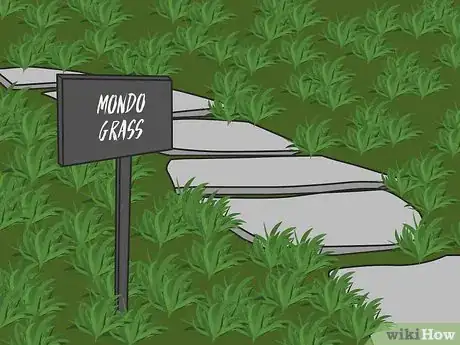 Image titled Choose Ground Cover Plants Step 07