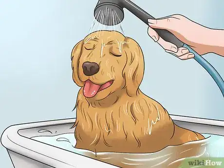 Image titled Cure Post Nasal Drip Step 1