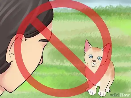 Image titled Earn a Kitten's Trust Step 2