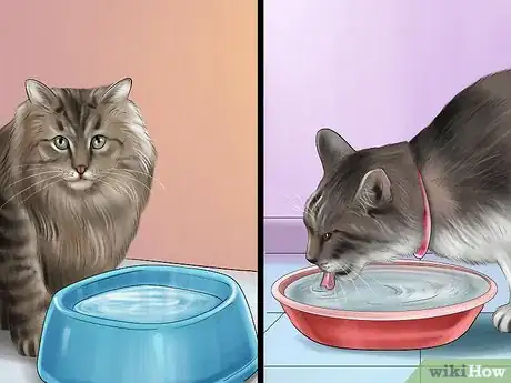 Image titled Stop a Cat from Drinking from Odd Places Step 6