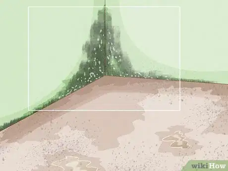 Image titled Deal with Residential Water Damage Step 8