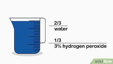 Image titled Plant Bush Lily Step 5