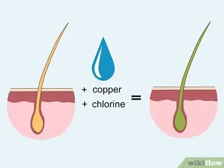 Image titled Get Rid of Green Hair from Swimming Step 1