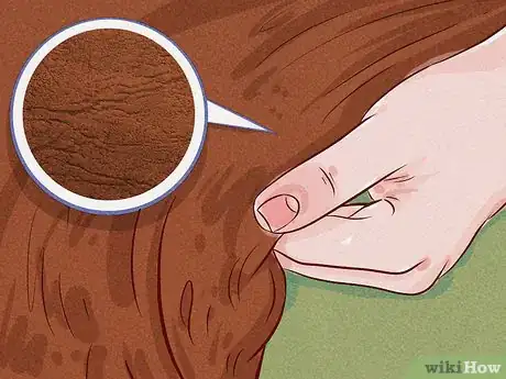 Image titled Choose Leather Furniture Step 9