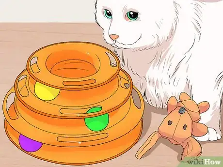 Image titled Raise Angora Cats Step 15