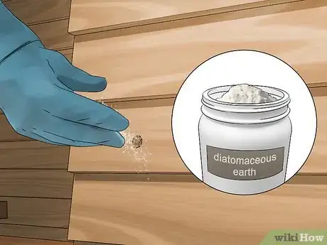 Image titled Get Rid of Wood Bees Naturally Step 6