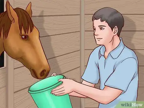 Image titled Find Safe Vegetables and Fruit for Horses Step 13