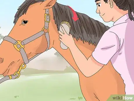 Image titled Pull a Horse's Mane Step 5