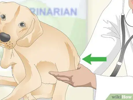 Image titled Treat Canine Tick Problems Step 14