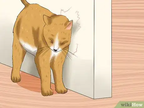 Image titled Treat Feline Glaucoma Step 9