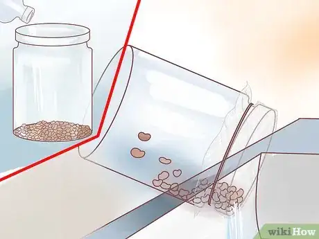 Image titled Grow Alfalfa Sprouts Step 15