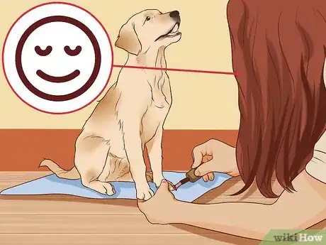 Image titled Put Nail Polish on Your Dog's Nails Step 10