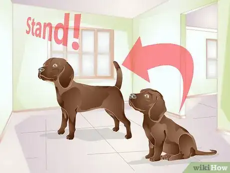 Image titled Train a Dog to Stand Up Step 8