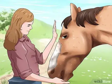 Image titled Get a Head Shy Horse To Trust You Step 9