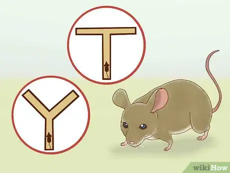 Image titled Build a Mouse Maze Step 2