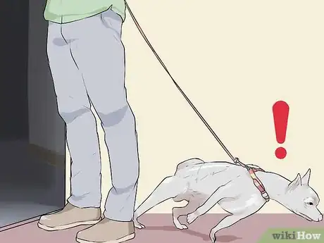 Image titled Rule Out Medical Causes of Bad Behavior in Aging Dogs Step 2