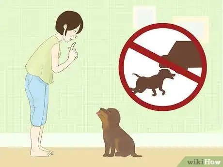 Image titled Catch Your Dog when They Run After Another Dog or Person Step 8