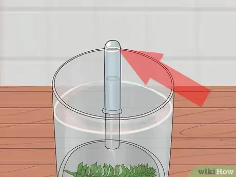 Image titled Show Oxygen Is a By Product of Photosynthesis Step 8