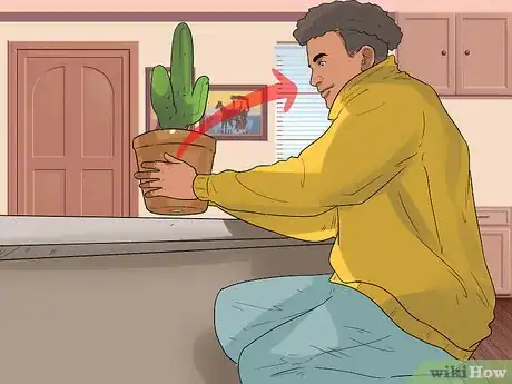 Image titled Know if a Bichon Frise Is the Right Dog Breed for You Step 4